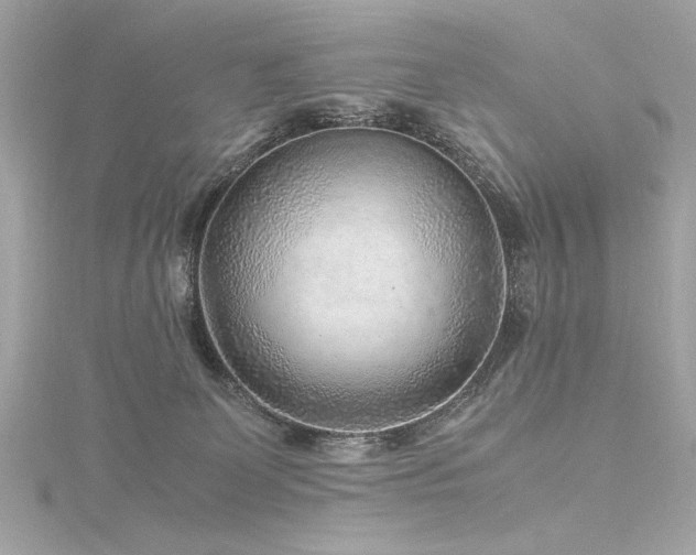 X0000116350131200912011418