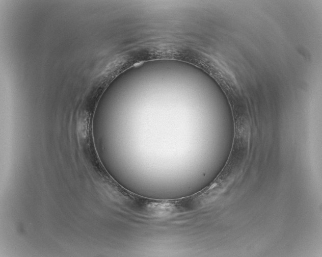 X0000116350133200912011418