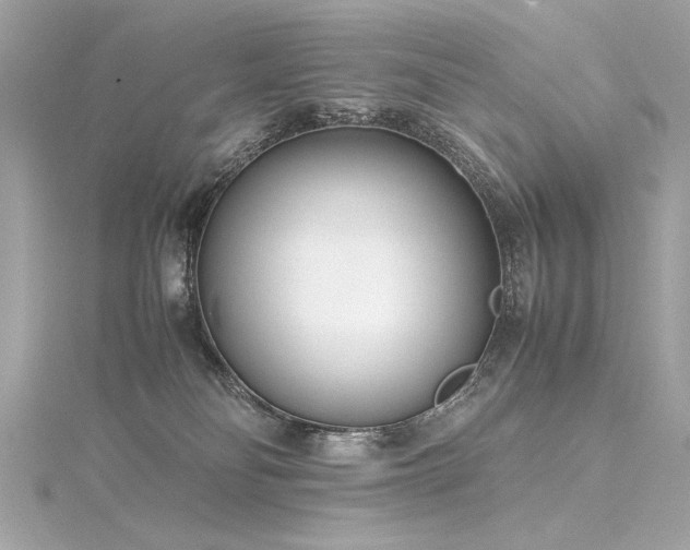 X0000116350134200912011418