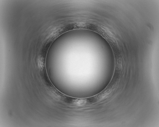 X0000116350135200912011418