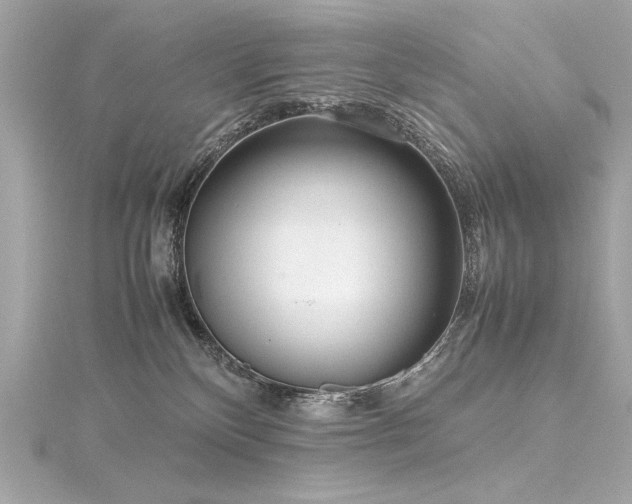 X0000116350136200912011418