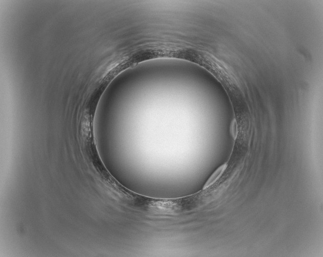 X0000116350137200912011418