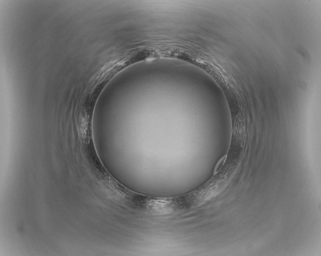 X0000116350139200912011418