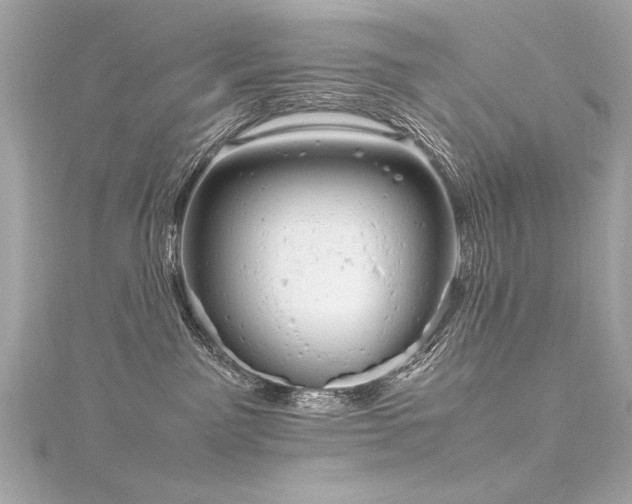 X0000116350141200912011418