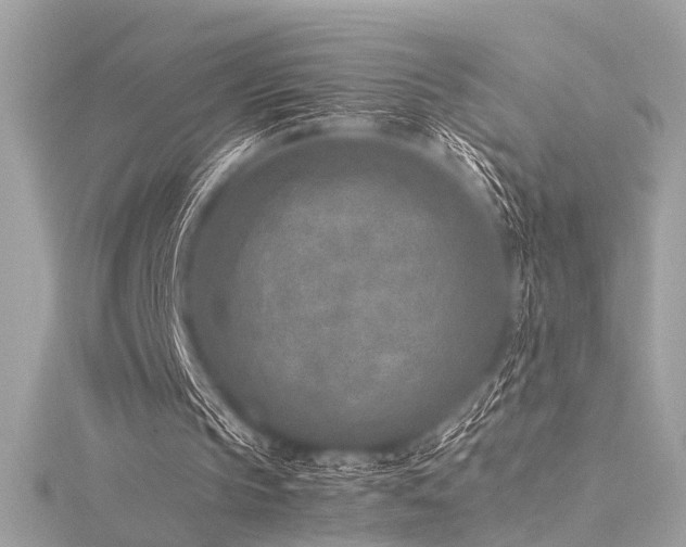 X0000116350145200912011417