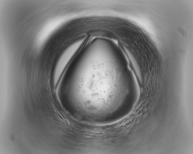 X0000116350146200912011417