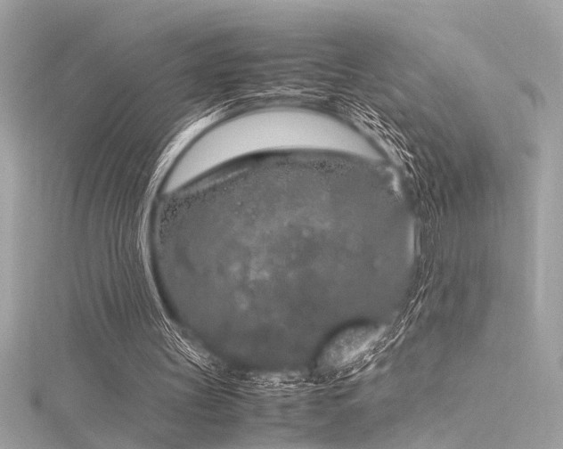 X0000116350147200912011417