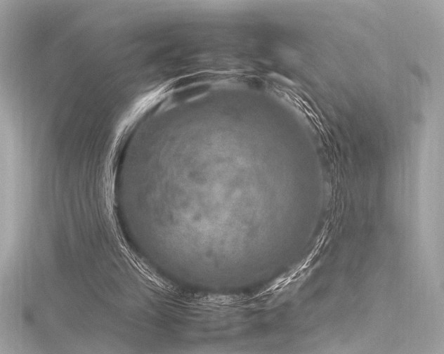 X0000116350149200912011417