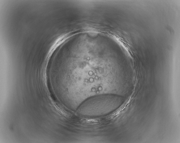 X0000116350151200912011417