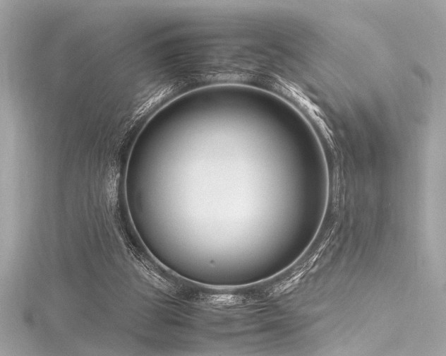 X0000116350153200912011417