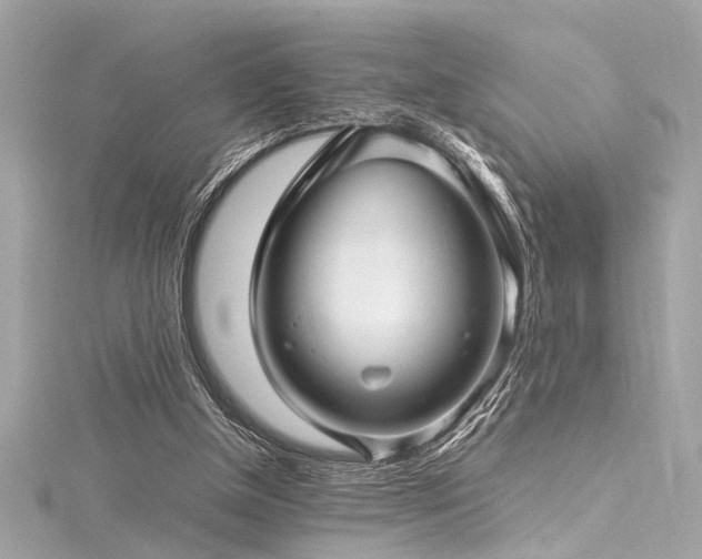 X0000116350154200912011417