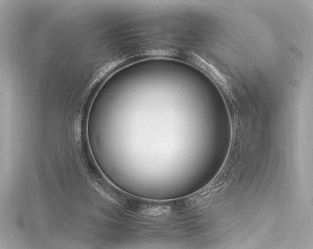 X0000116350155200912011417