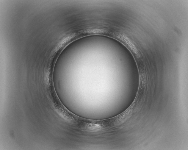 X0000116350159200912011417