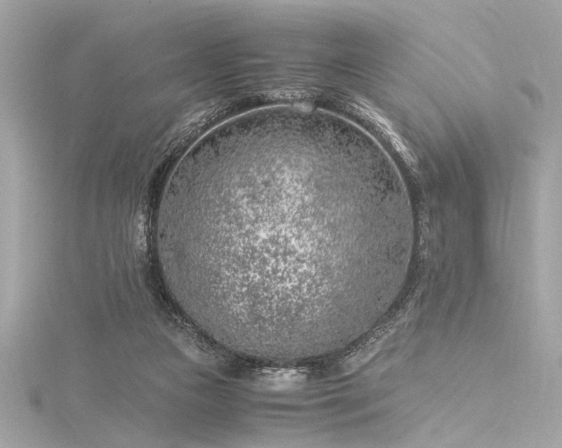 X0000116350161200912011417