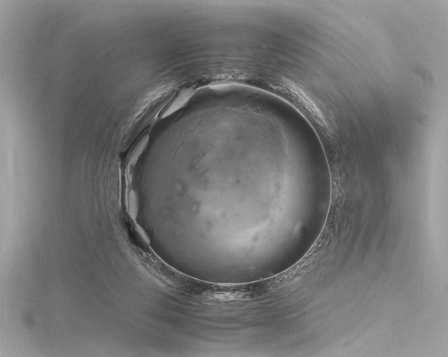 X0000116350163200912011417