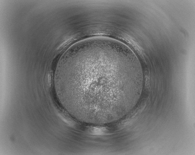 X0000116350165200912011417