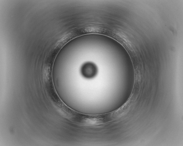 X0000116350171200912011418