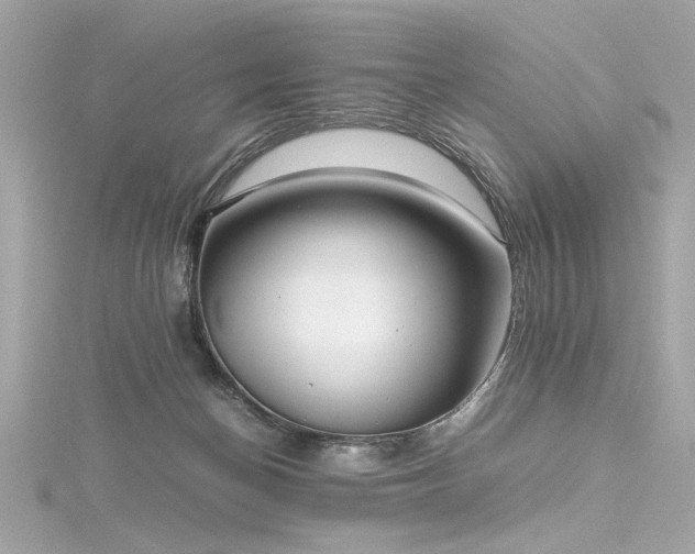 X0000116350174200912011418