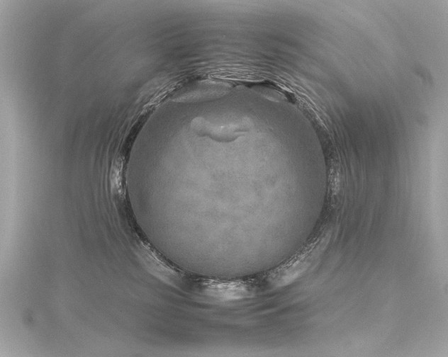 X0000116350185200912011418