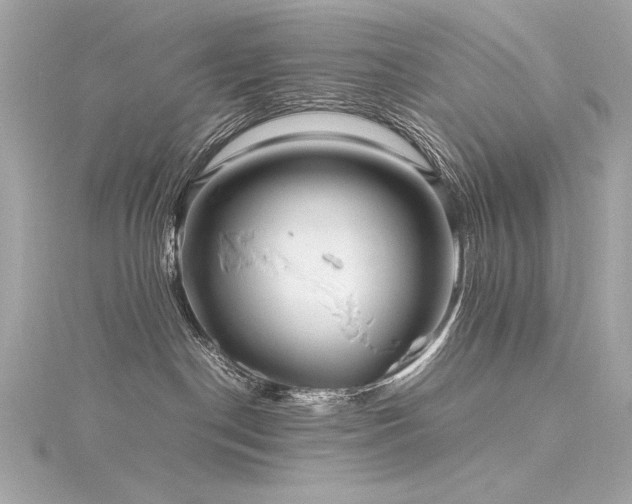 X0000116350190200912011418