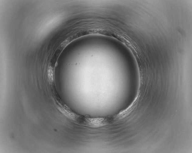 X0000116350191200912011418