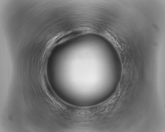 X0000116350193200912011417