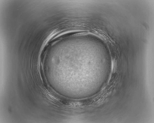 X0000116350195200912011417