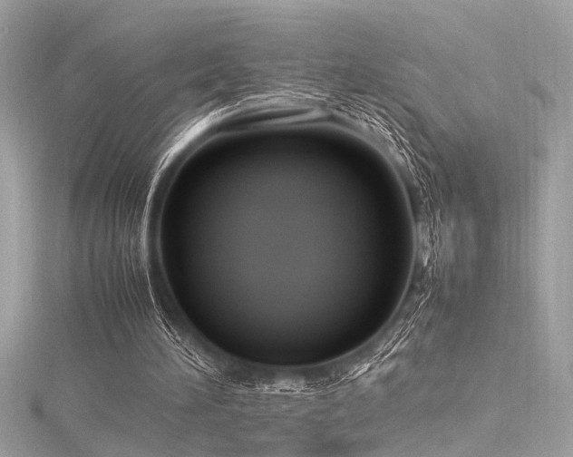 X0000116350196200912011417