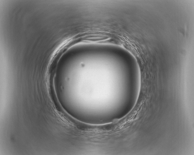 X0000116350197200912011417