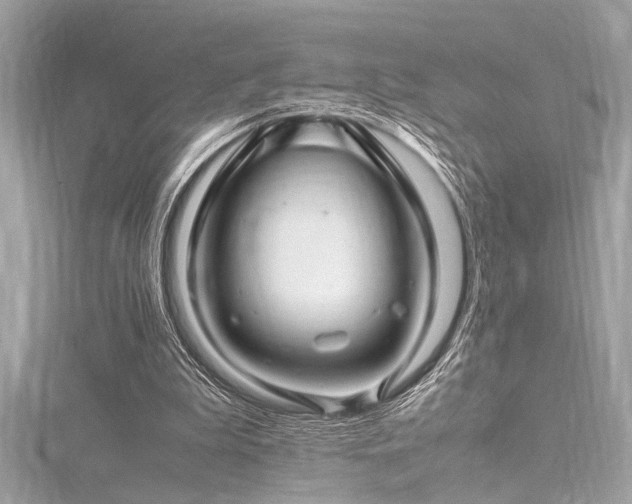 X0000116350199200912011417