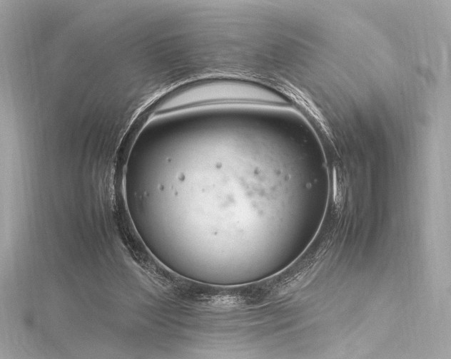 X0000116350204200912011417