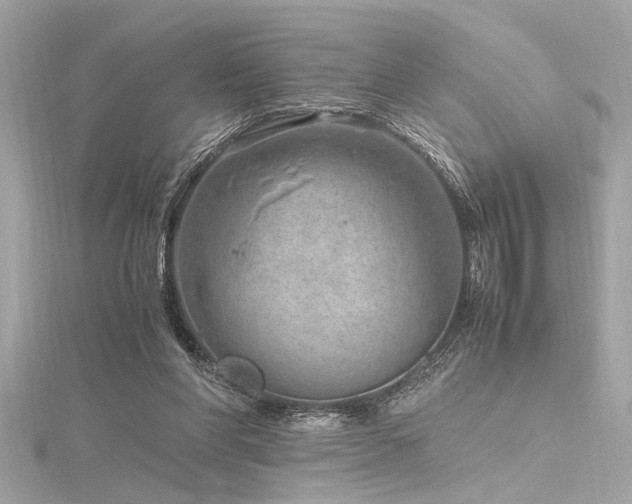 X0000116350206200912011417