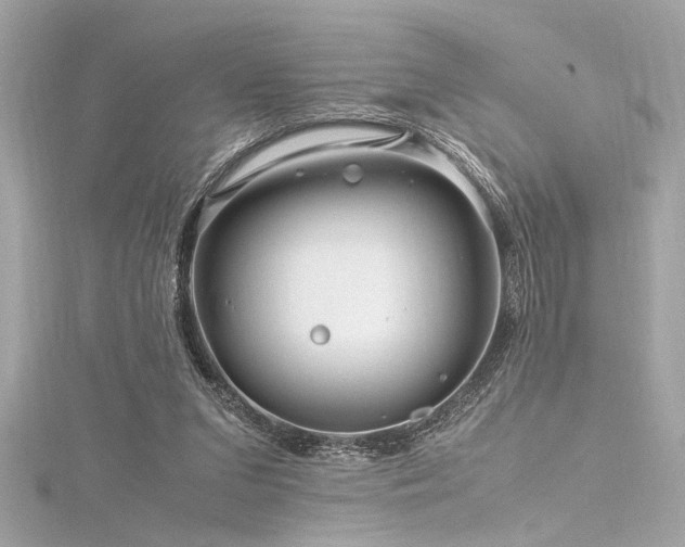 X0000116350207200912011417