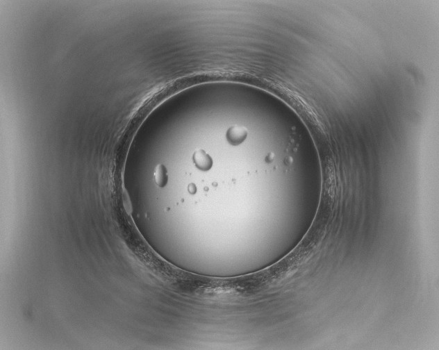 X0000116350208200912011417