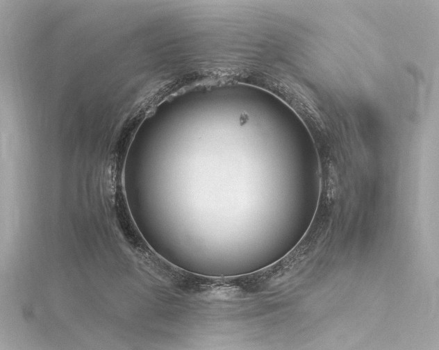 X0000116350210200912011417