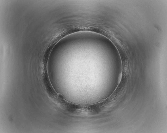 X0000116350211200912011417