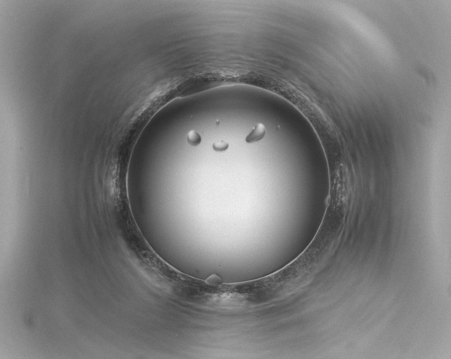 X0000116350212200912011417