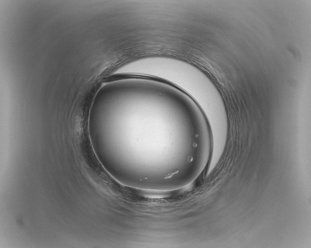 X0000116350215200912011417