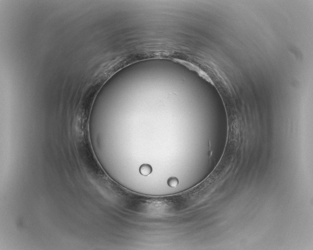 X0000116350218200912011417