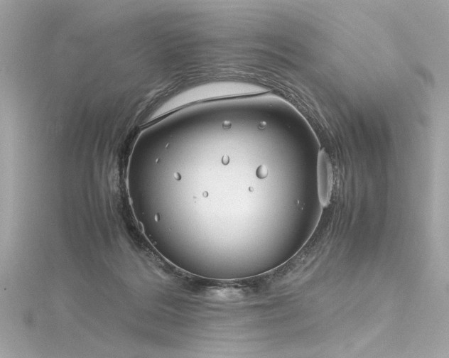 X0000116350220200912011417