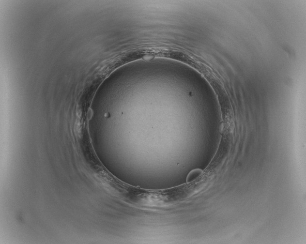 X0000116350223200912011417