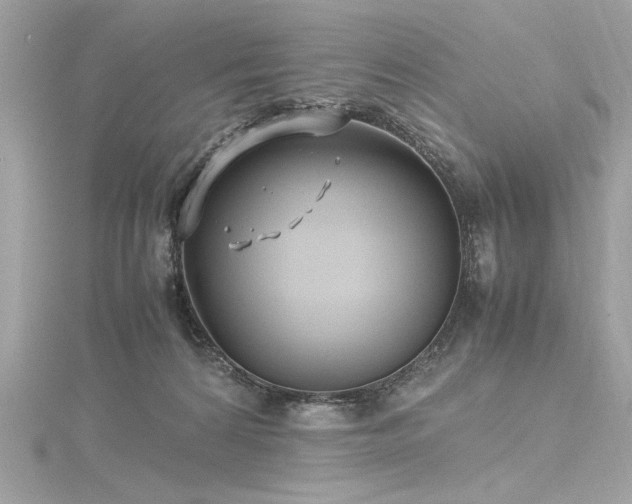 X0000116350224200912011417