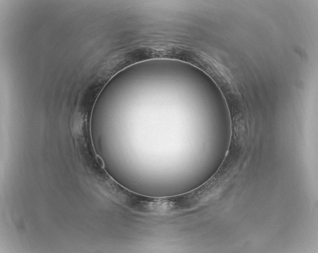 X0000116350225200912011417