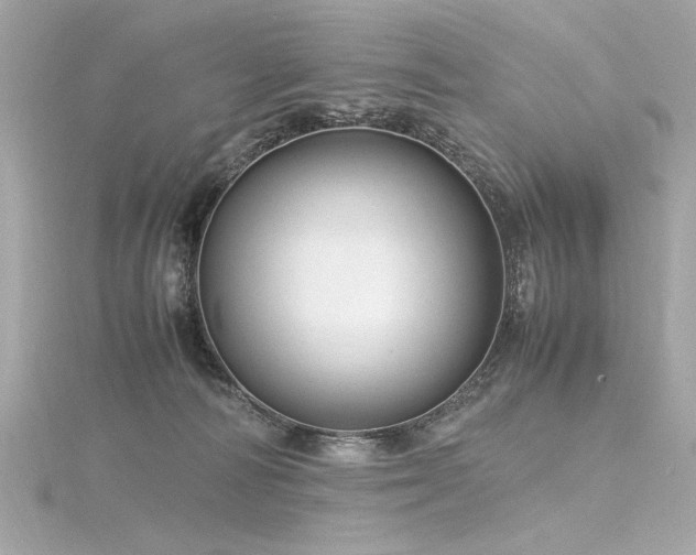 X0000116350226200912011417