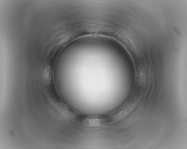 X0000116350228200912011417