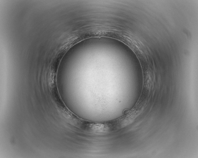 X0000116350230200912011417