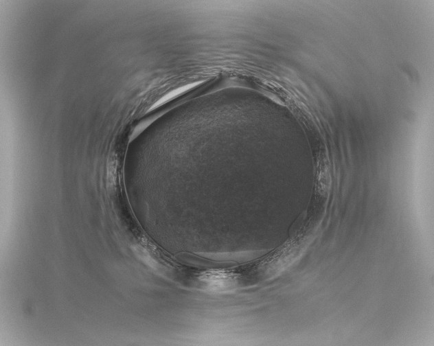 X0000116350231200912011417