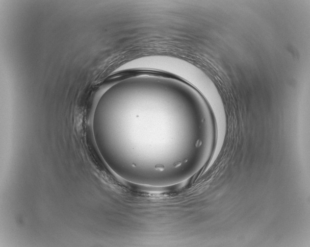 X0000116350233200912011417