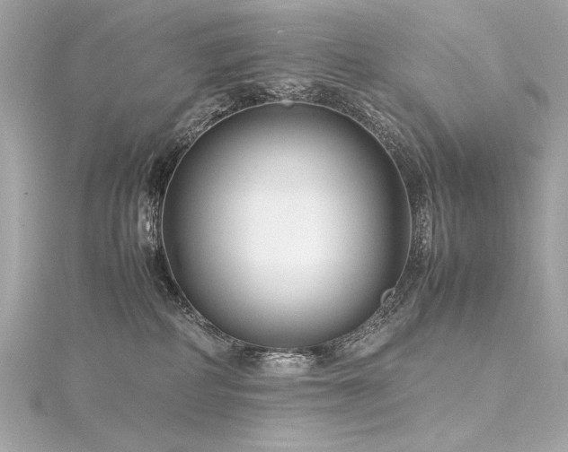 X0000116350234200912011417