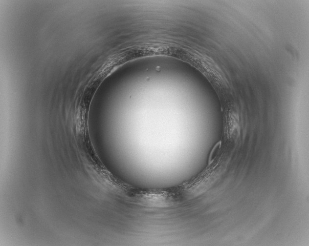 X0000116350236200912011417